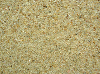 Playa de La Costilla, Rota